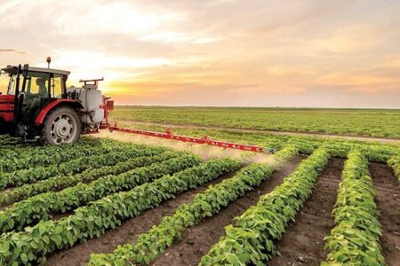 «سرما» تهدیدی برای قطب کشاورزی زمستانی ایران | خبر کرمان