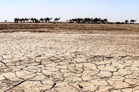 جازموریان؛ از زیست بوم حیات تا کانون بحران | خبر کرمان