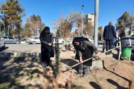 ۱۸۰ اصله نهال در سیرجان غرس شد | اخبار سیرجان