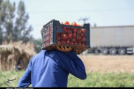 افزایش ۵ درصدی بهره‌برداری حوزه کشاورزی در استان کرمان