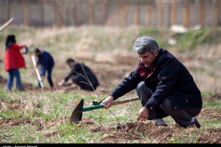 بوستان ۵۰ هکتاری خانواده در جیرفت احداث می‌شود