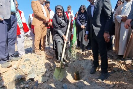 کُنارها به مناسبت روز پدر زمین را درآغوش کشیدند+فیلم | خبر کرمان