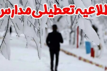 کدام مدارس کرمان غیرحضوری شد؟ | خبر کرمان